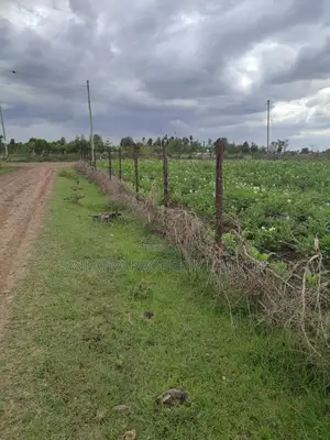 100*100 Plot for Sale at Ruai. (Mountex Plots) for Sale at 1.3m Neg.