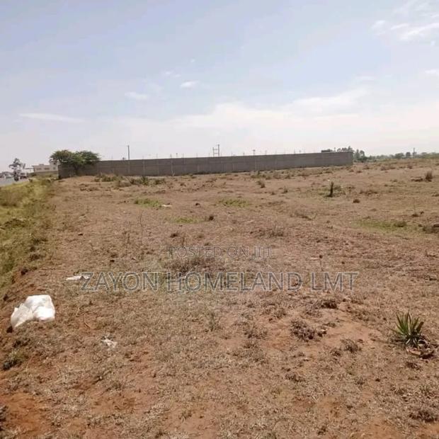 Prime One Acre for Sale. - thumbnail 9