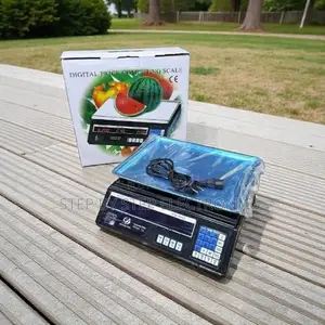 High Performance Acs40 Electronic Weight and Price Scale Led