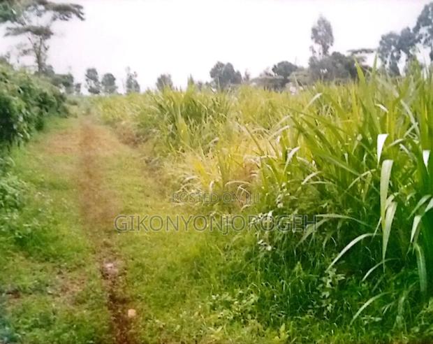 Land for Sale in Waguthu Kanunga Area (Owner Direct Sale) - main view