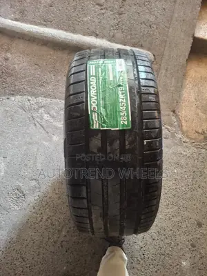 285/45zr19 Tire
