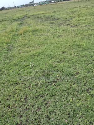 Land for Farming/Retirement - thumbnail 2