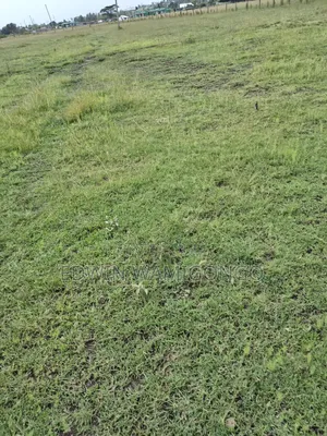 50x100 Plots for Sale With Ready Title Deeds