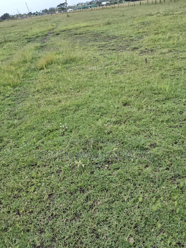 Land for Farming/Retirement - main view