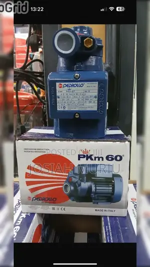 Pedrollo PKM 60 0.5 Hp Peripheral Surface Water Pump.