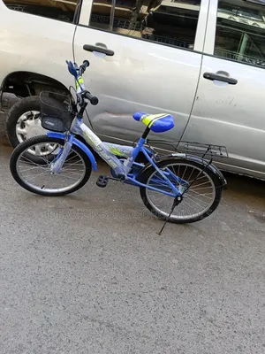 Lion King Size 20 Kids Bicycle