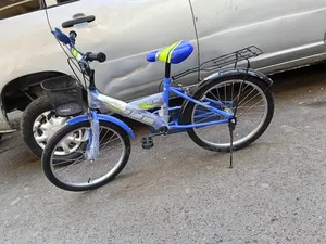 Lion King Size 20 Kids Bicycle