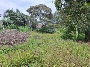 Valley View Estate Kiambu Road Opposite Kist Prime 1/2 Ac