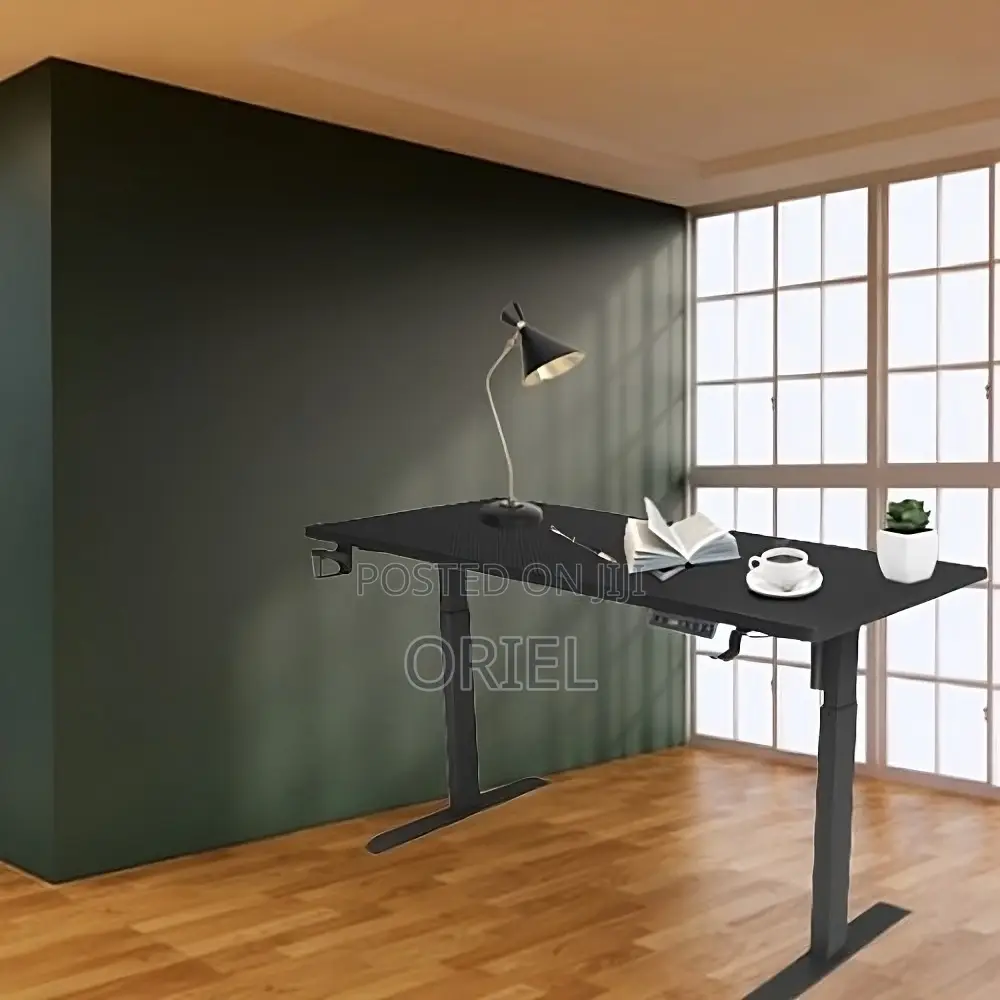 Home and Office Electric Adjustable Desk
