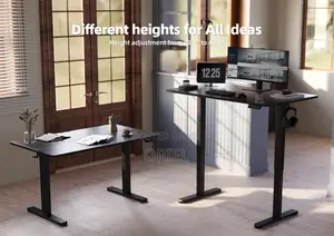 Home and Office Electric Adjustable Desk