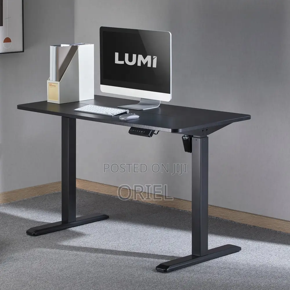 Home and Office Electric Adjustable Desk