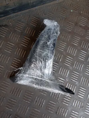Mazda Verisa Sidemirror