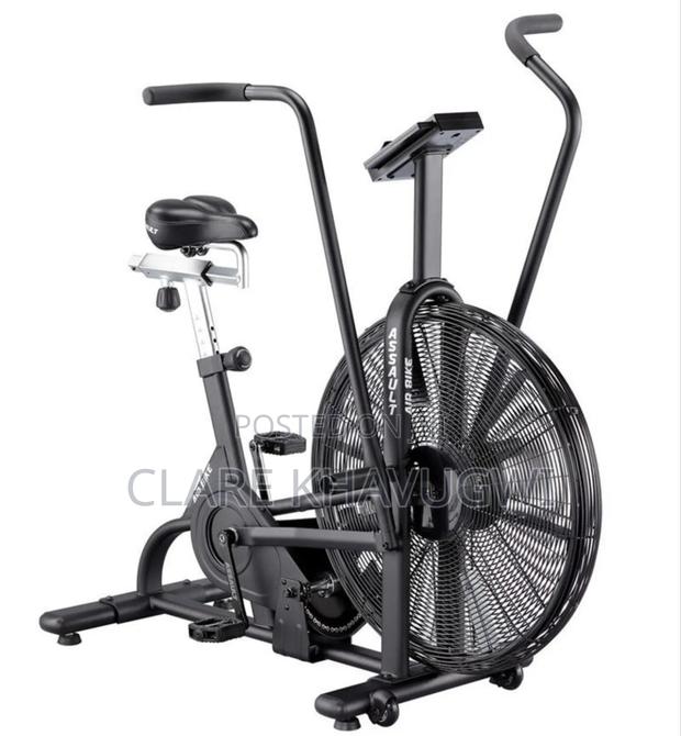 Assault Air Bike - main view