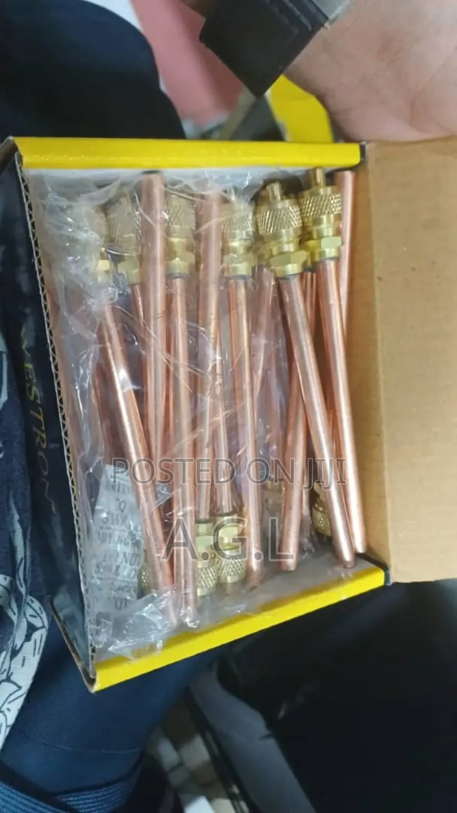 Charging Valve /Charging Access Valve