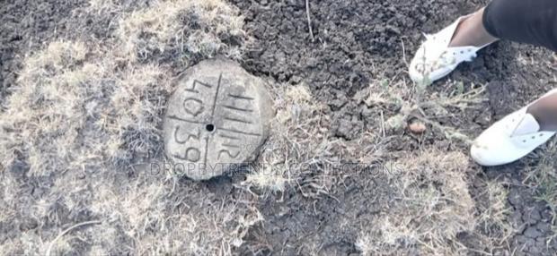 Commercial 40*80 Plot - thumbnail 3