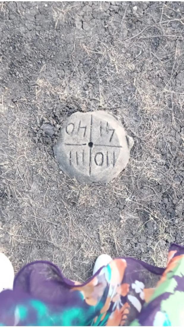 Commercial 40*80 Plot - thumbnail 4