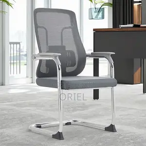 Orthopedic Mesh Office Guest Chair