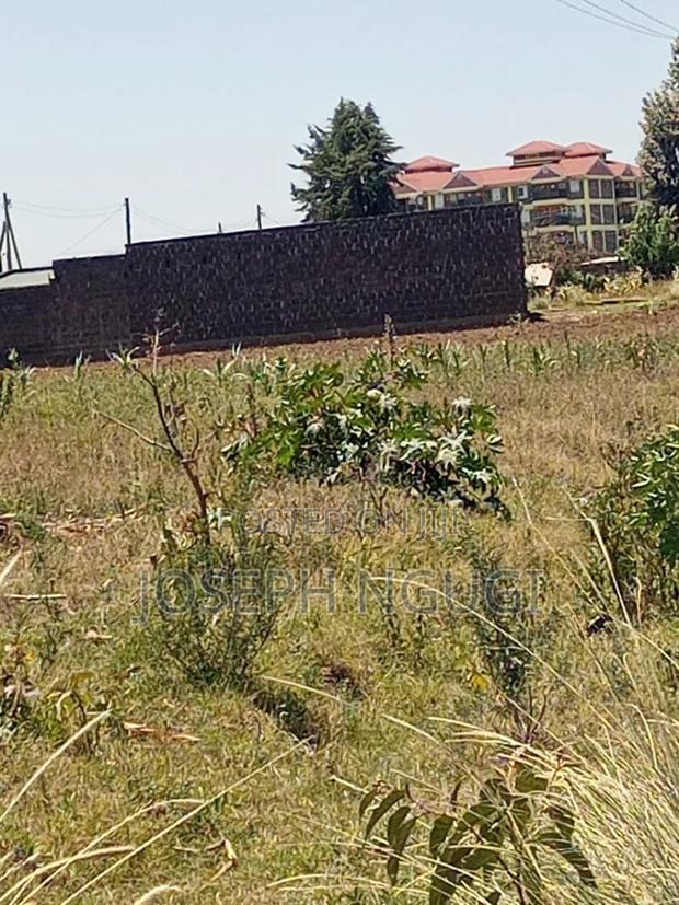 Prime Plots on Sale - main view