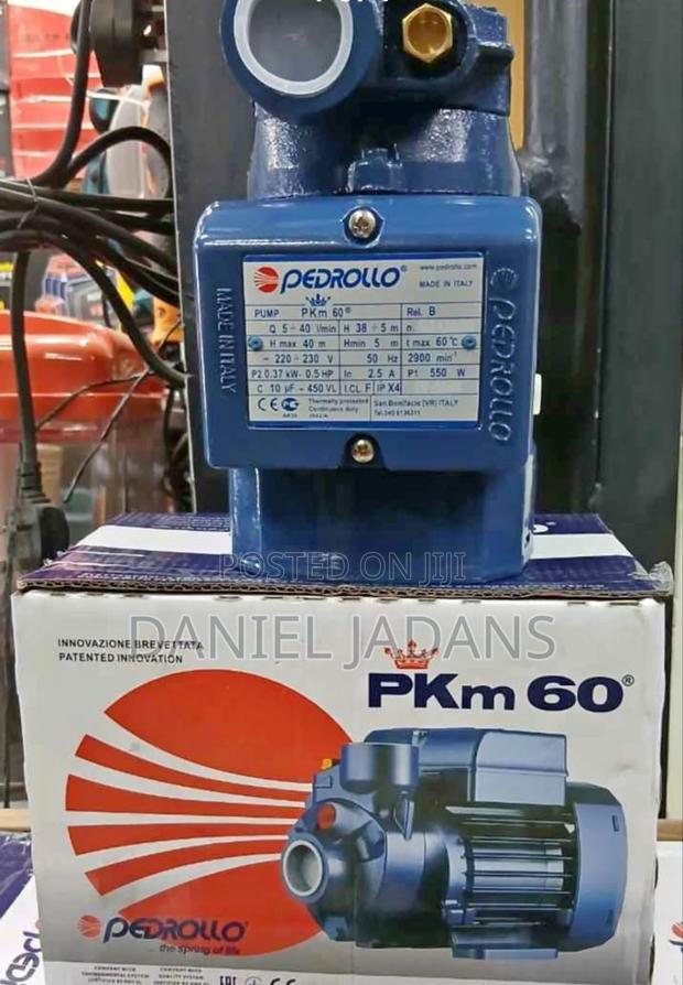 Pedrollo Pkm60 Electric Water Pump/ 40m Head Pedrollo Booster Pump