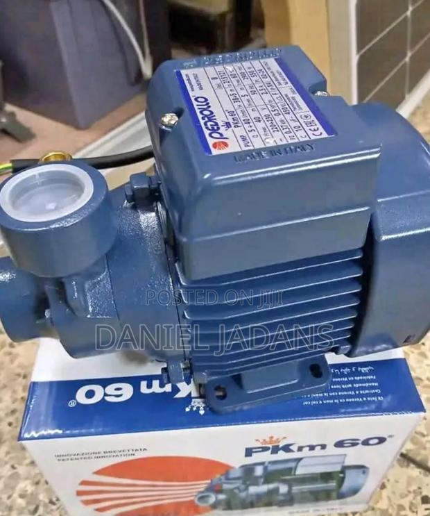 Heavy Duty 0.5hp Pedrollo Surface Water Pump/Pedrollo Water Pump Pkm60