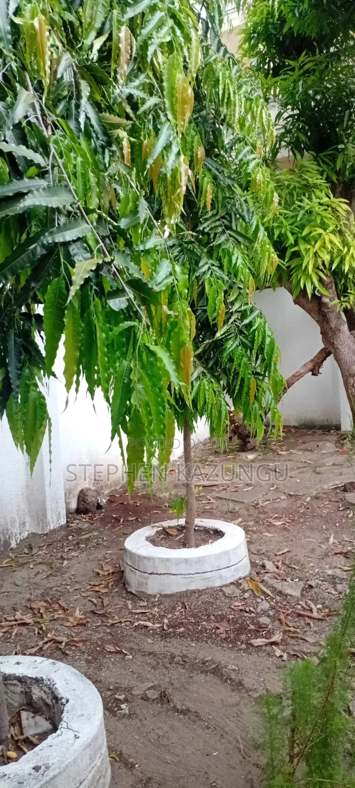 Furnished 3bdrm House in Private Home Near, Ukunda for sale
