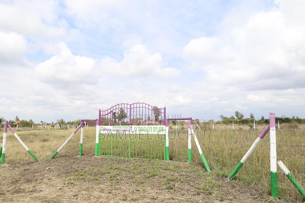 Ruiru Gikumari 50x100 Plot - thumbnail 16