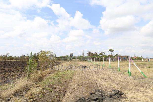 Ruiru Gikumari 50x100 Plot - thumbnail 18