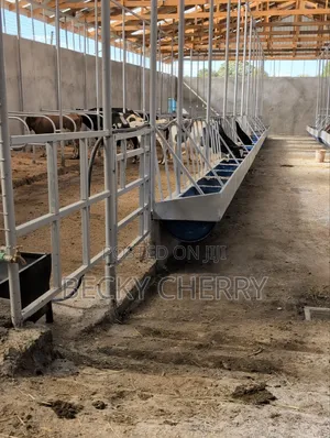 Dairy Farm Manager Needed