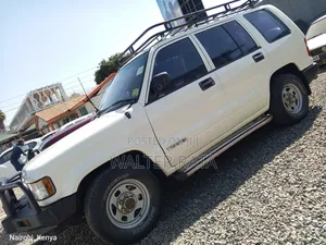 Isuzu Trooper 1998 White
