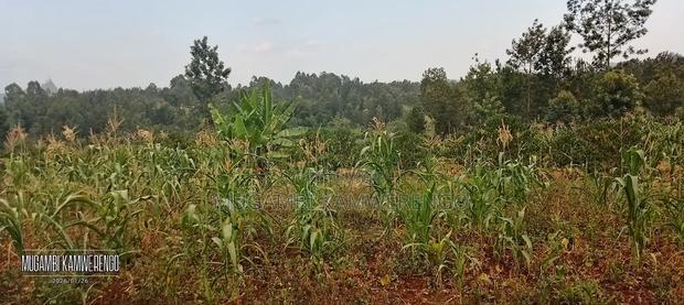 3 Acres Kithimu - main view