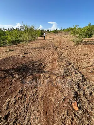 Prime 50x100 Plot in Makutano Ya Mwea