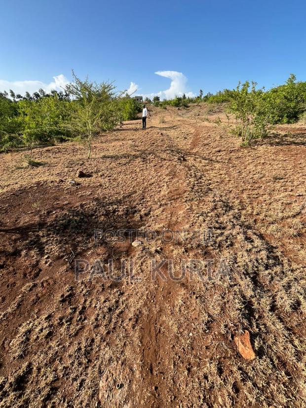 Prime 50x100 Plot in Makutano Ya Mwea - thumbnail 4