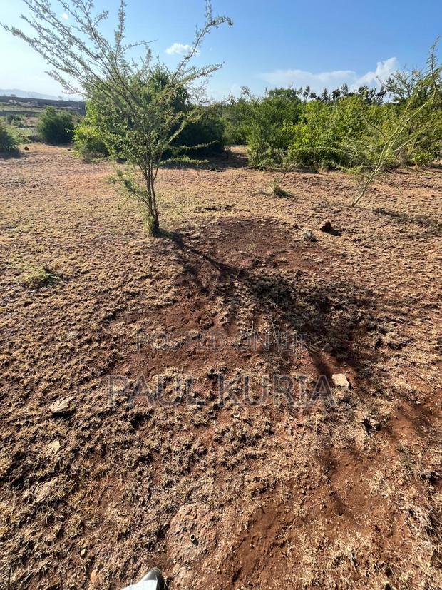 Prime 50x100 Plot in Makutano Ya Mwea - thumbnail 5