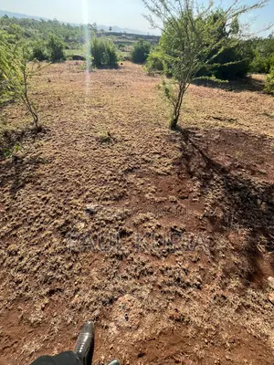 Prime 50x100 Plot in Makutano Ya Mwea