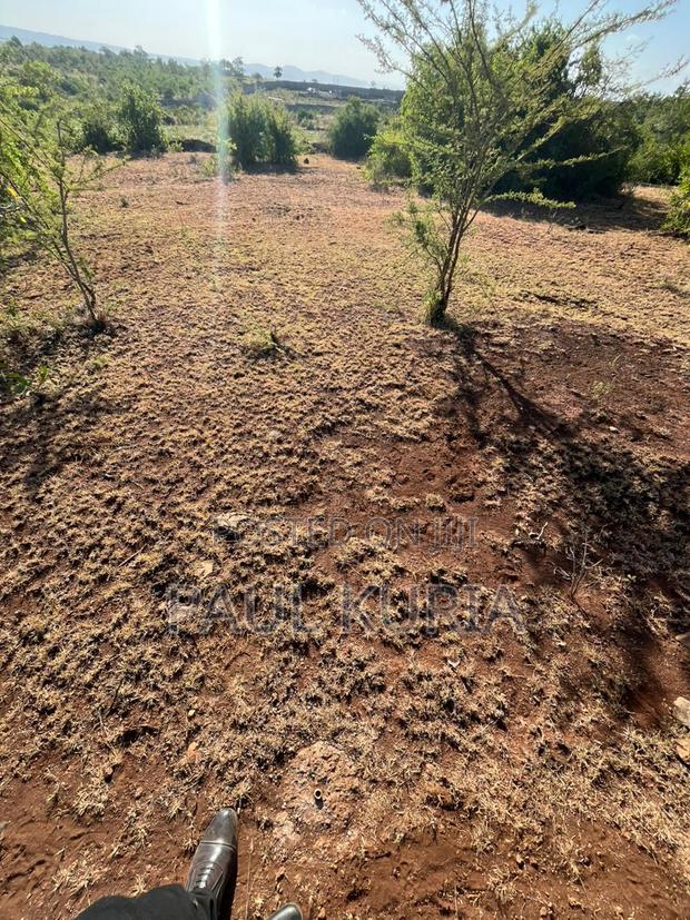 Prime 50x100 Plot in Makutano Ya Mwea - thumbnail 6