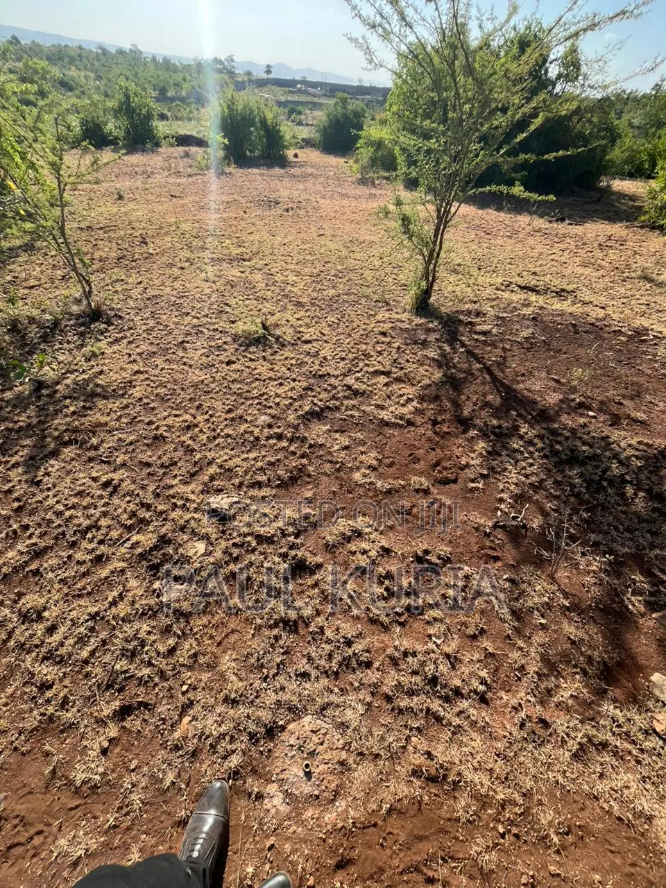 Prime 50x100 Plot in Makutano Ya Mwea