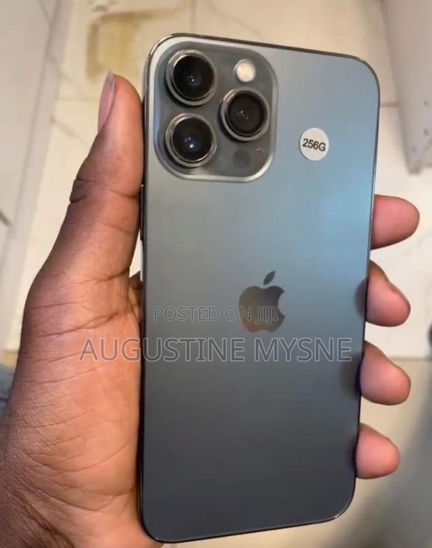 Apple iPhone 13 Pro Max 256 GB Gray - thumbnail 2