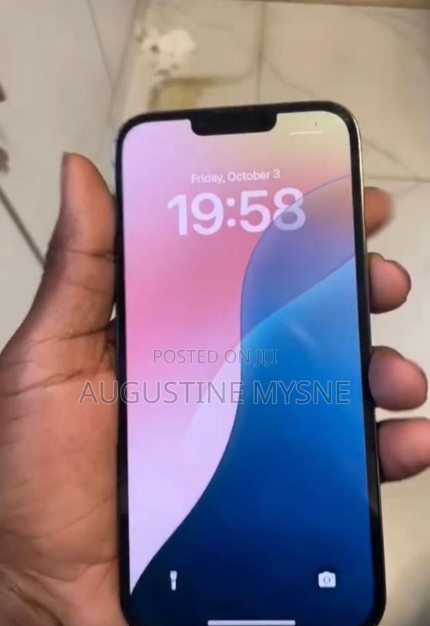 Apple iPhone 13 Pro Max 256 GB Gray - main view