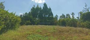Land on Sale at Thuita - main view