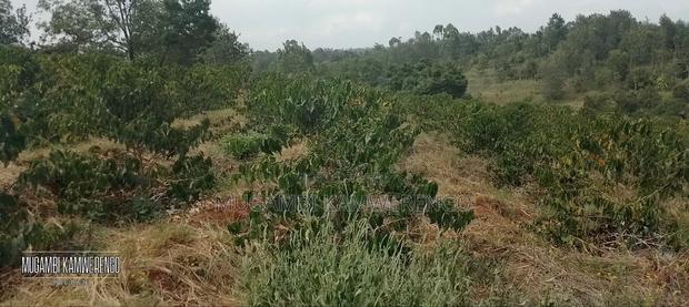 3 Acres Kithimu - thumbnail 5