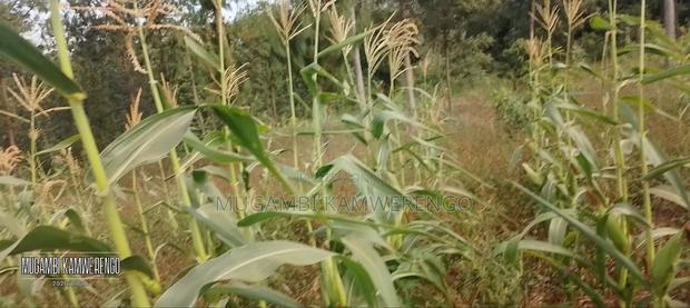 3 Acres Kithimu - thumbnail 6