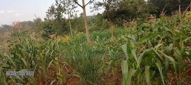 3 Acres Kithimu - thumbnail 7