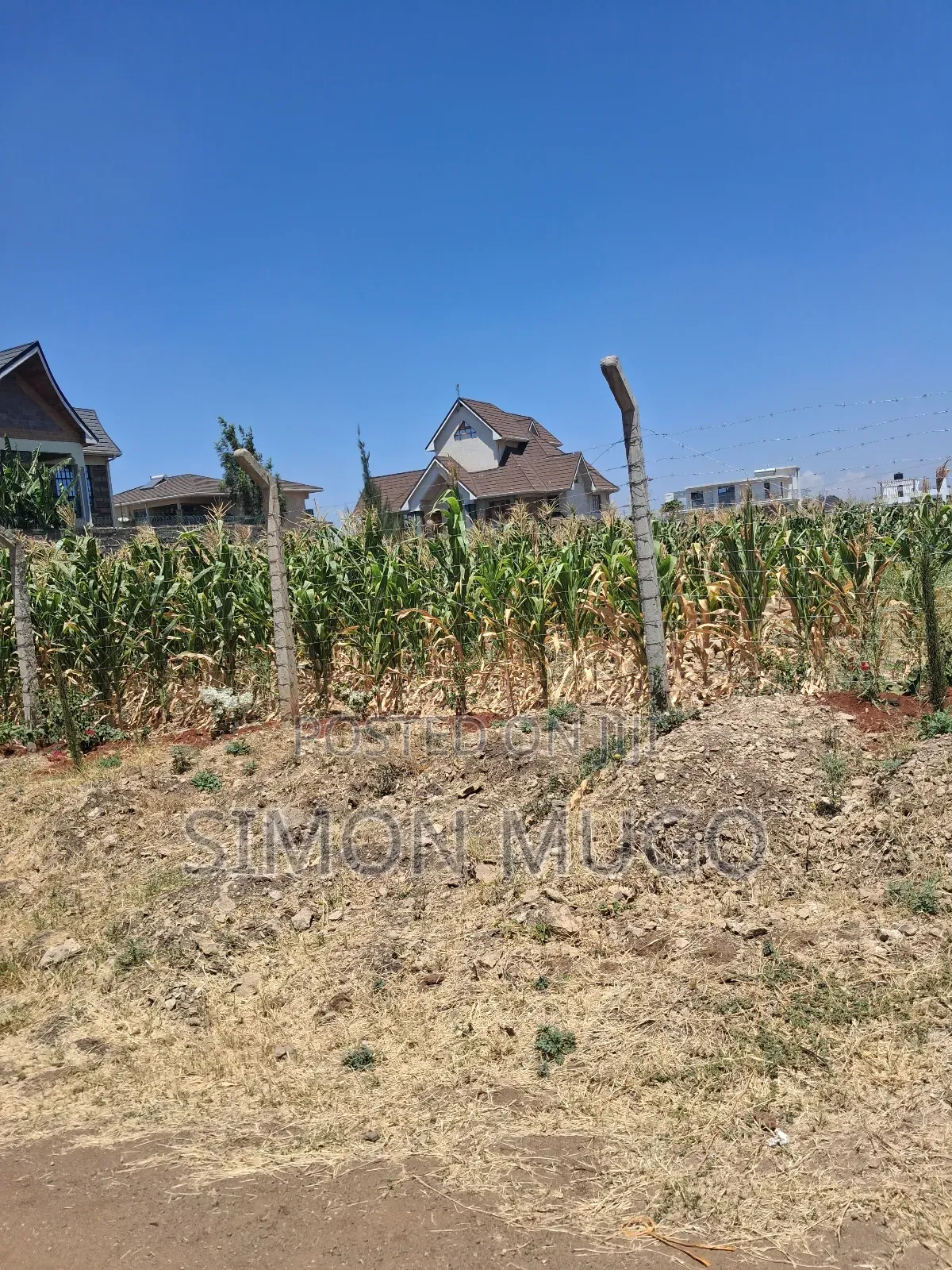 Mushrooms Gardens Estate Kiambu Rd Secure Well Drained Red Soil 1/2 Ac