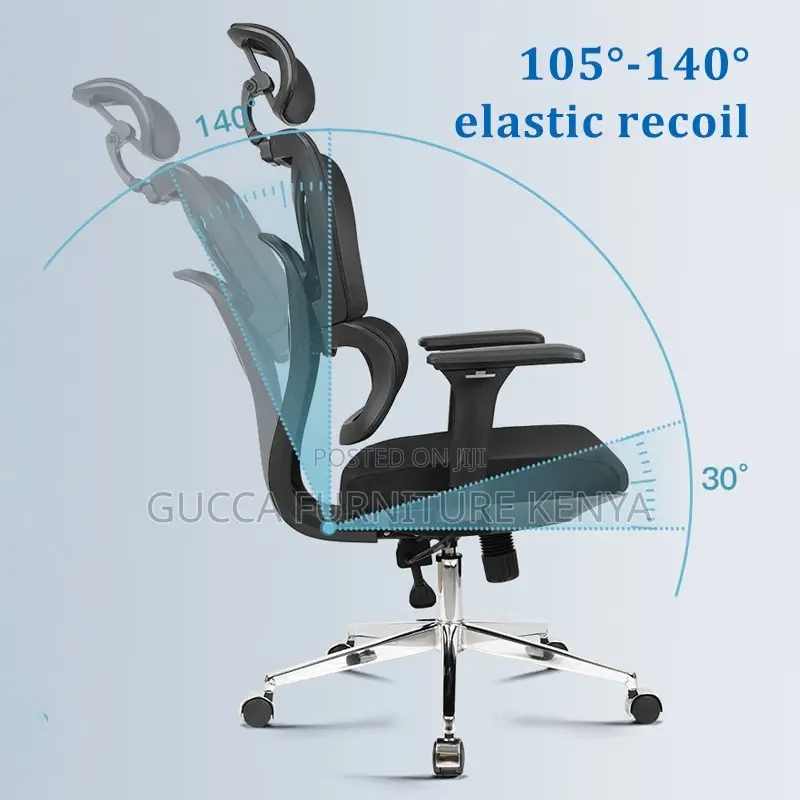 Executive Ergonomic High Back Office Chair