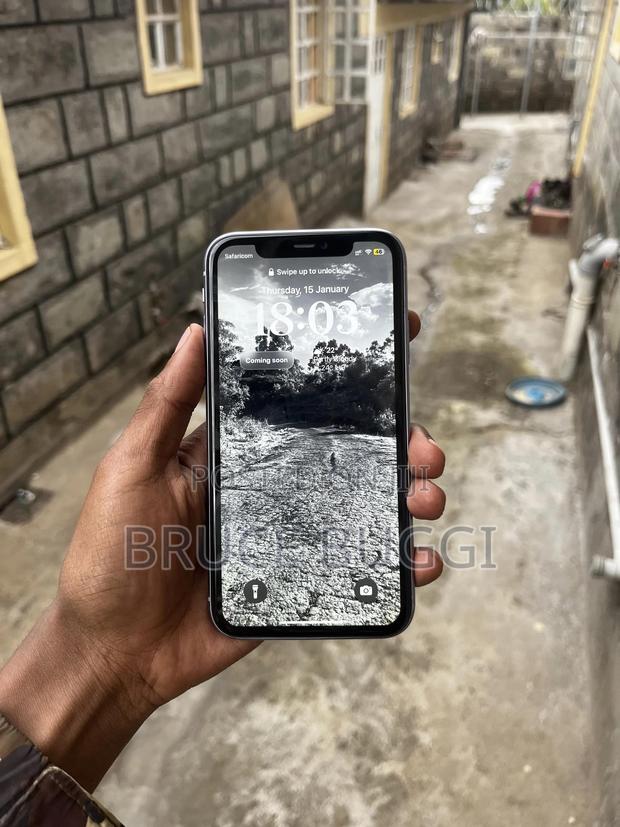 Apple iPhone 11 64 GB Blue - main view