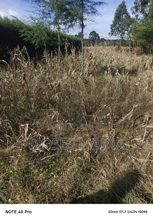 Quater Acre On Sale - main view