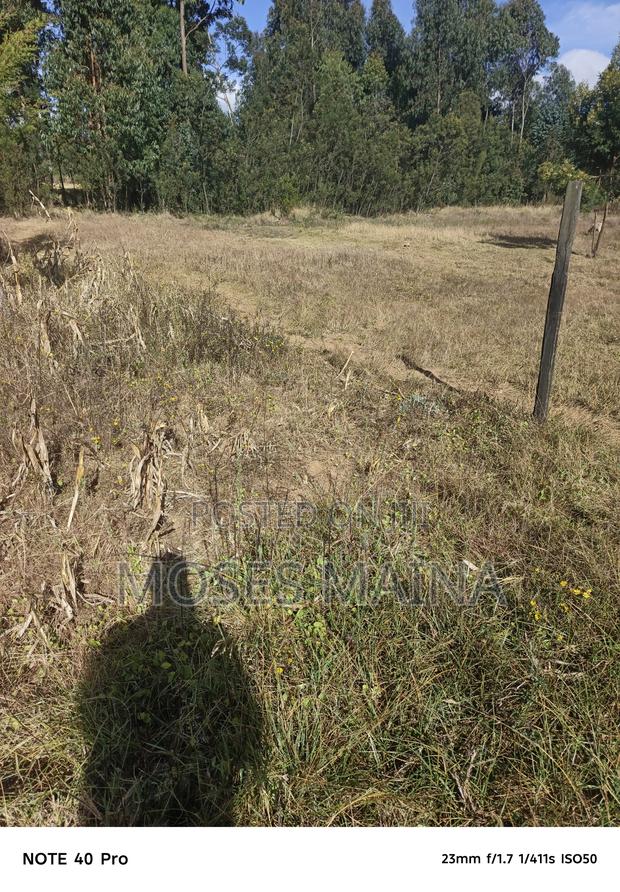 Quater Acre On Sale - thumbnail 3