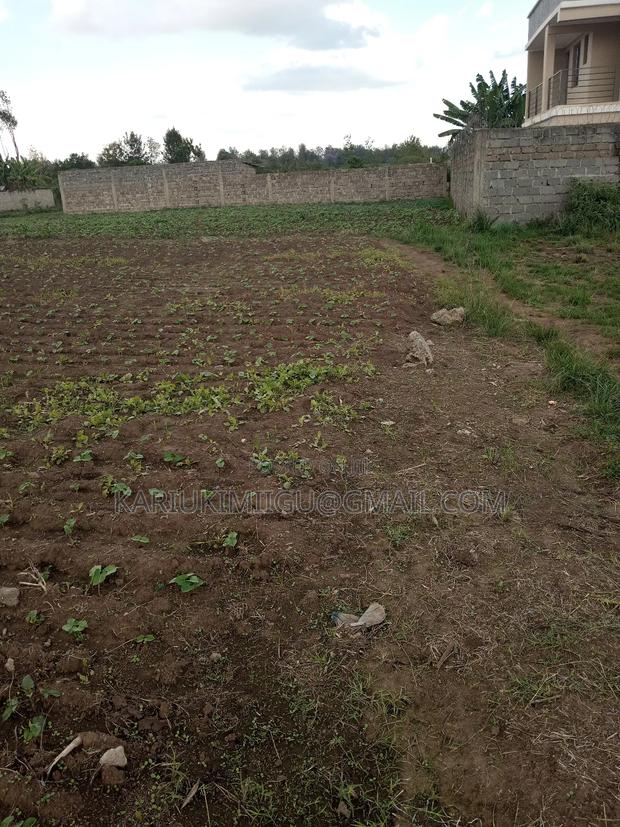 Mangu Plots - main view