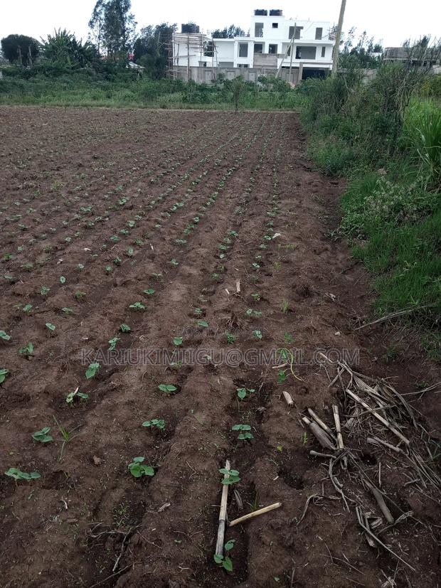 Mangu Plots - thumbnail 5