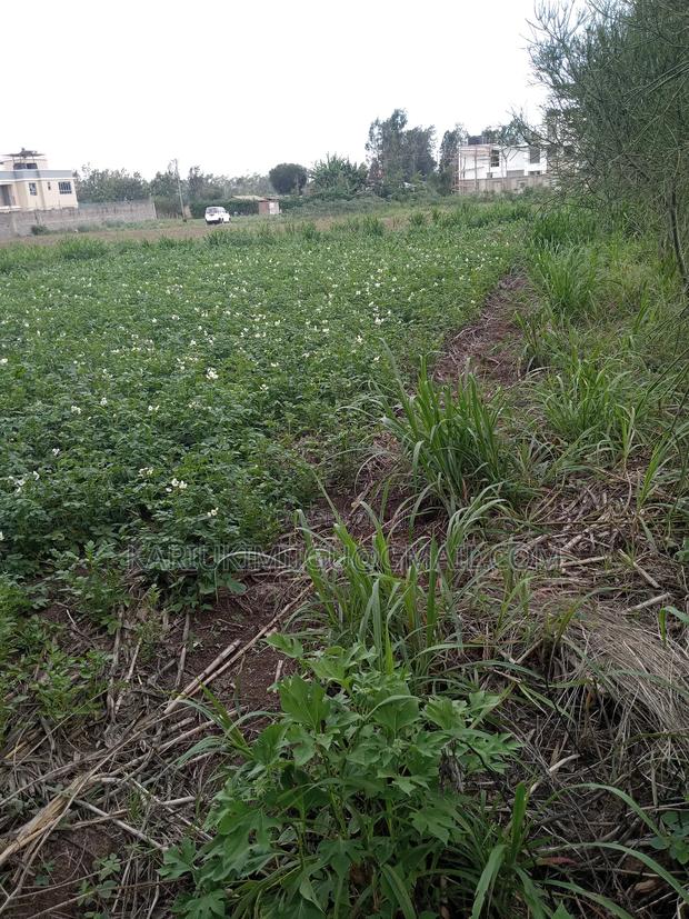 Mangu Plots - thumbnail 6